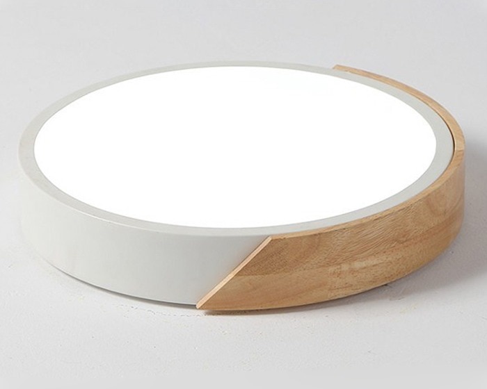 Modern LED Ceiling Light Lamp