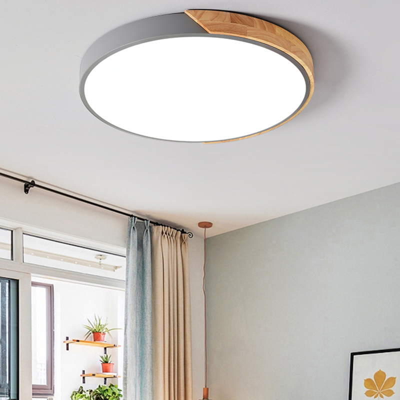 Modern LED Ceiling Light Lamp