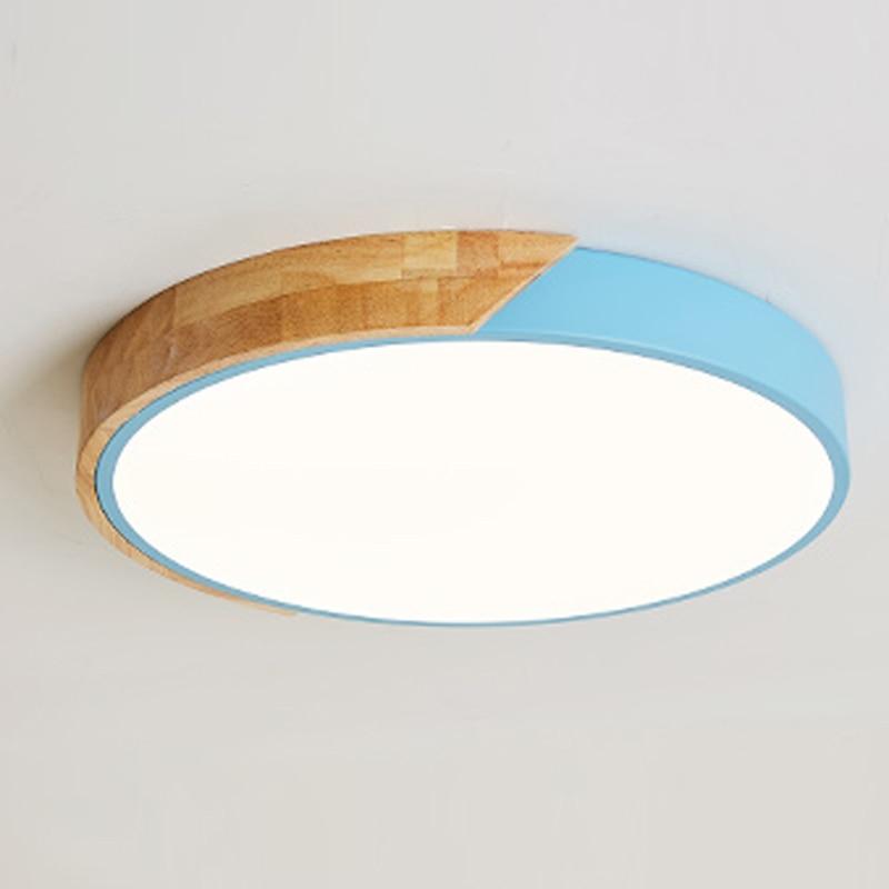 Modern LED Ceiling Light Lamp