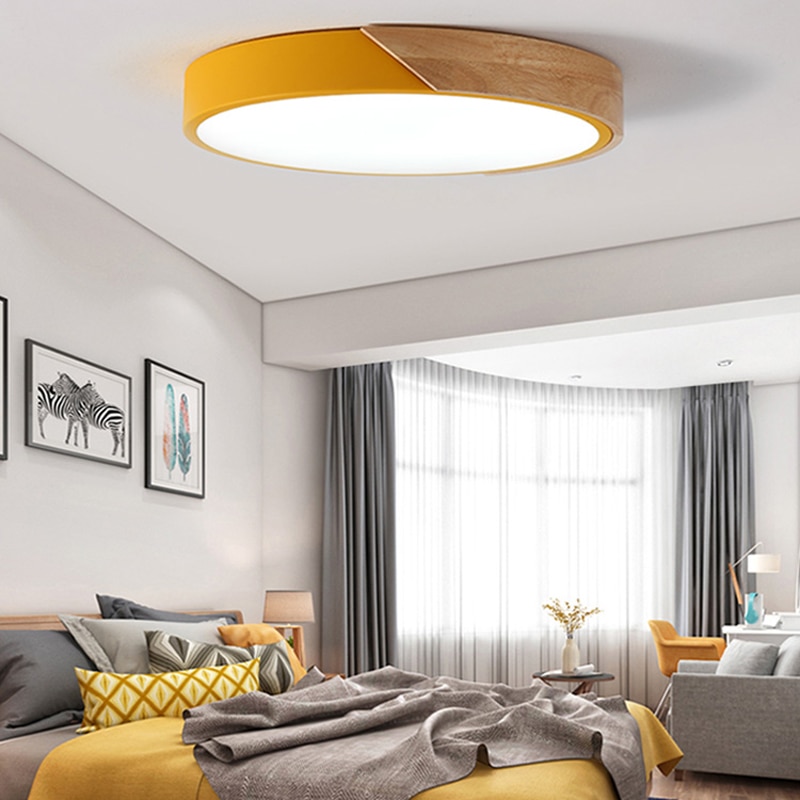 Modern LED Ceiling Light Lamp